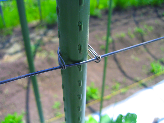 ナス フラワーネットの設置 大山くろぼく野菜畑